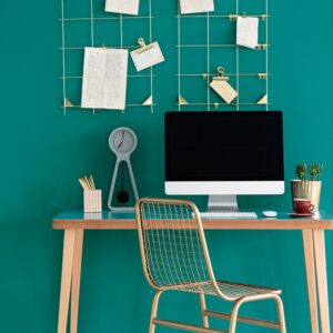 Konsultacja online 1:1